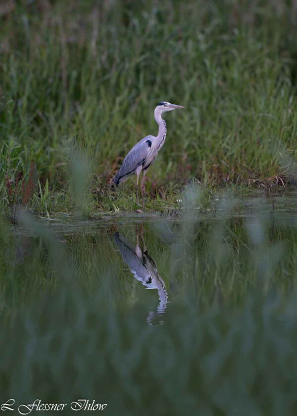 Dsc07646 Verbessert Rr Bearbeitet